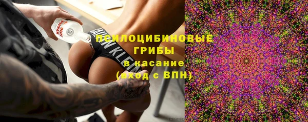 PSILOCYBIN Баксан