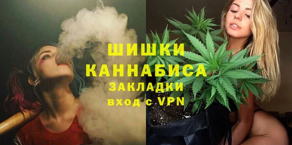 PSILOCYBIN Баксан