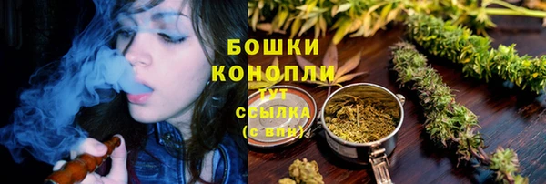PSILOCYBIN Баксан