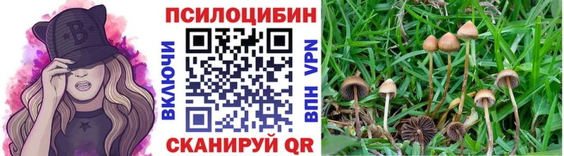 Галлюциногенные грибы Magic Shrooms  мега tor  Благодарный 